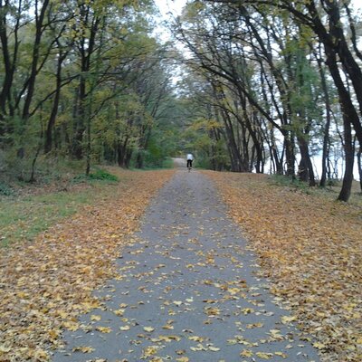 Бобейко Сергей Владимирович