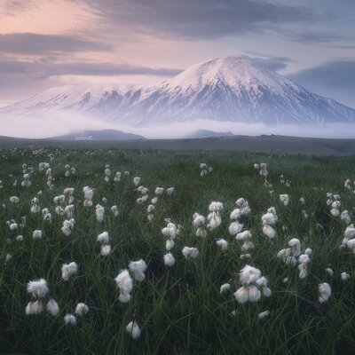 Спиридонова Татьяна