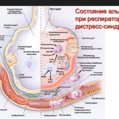 Манасова Зарипат Шахбановна