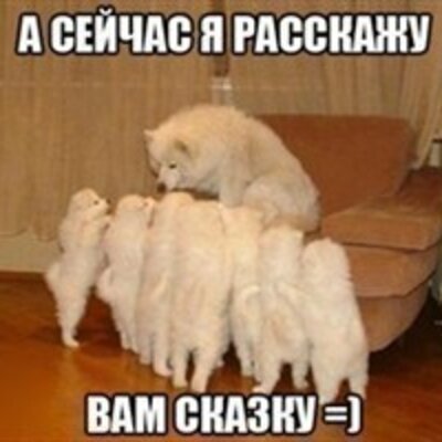 Антонова Виктория Александровна