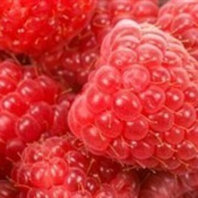 Шамбулина Наталья Ниловна