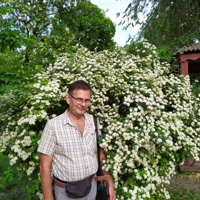Желнов Константин Павлович