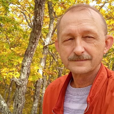 Горох Владимир Николаевич