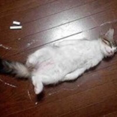 Алкина Елена Наильевна