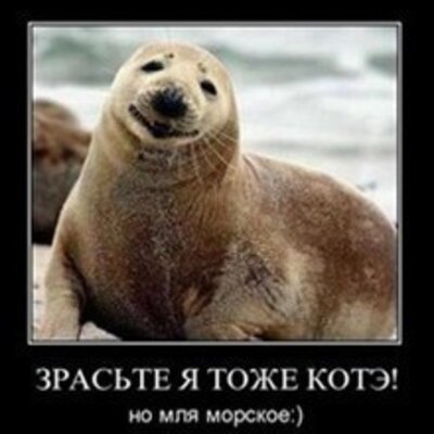Тан Елена