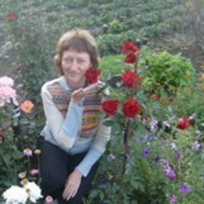 Вибе Лилия Алексеевна