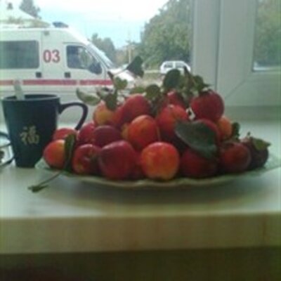 Новиков Вадим Юрьевич