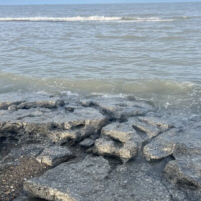 Кобзева Людмила Сергеевна