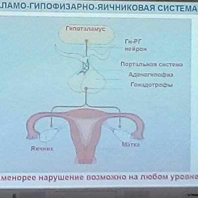 Штольц Татьяна Егоровна