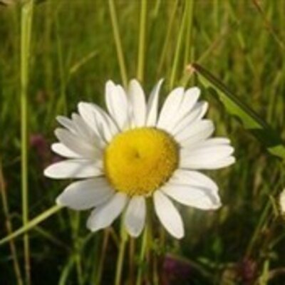 Кретова Елена Игоревна