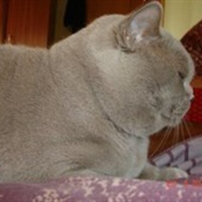 Петров Игорь Васильевич