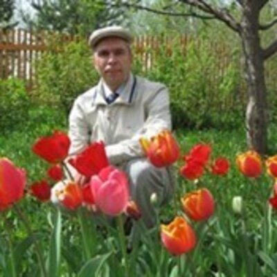 Домнин Александр Аркадьевич