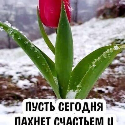 Разуменко Ирина Вячеславовна