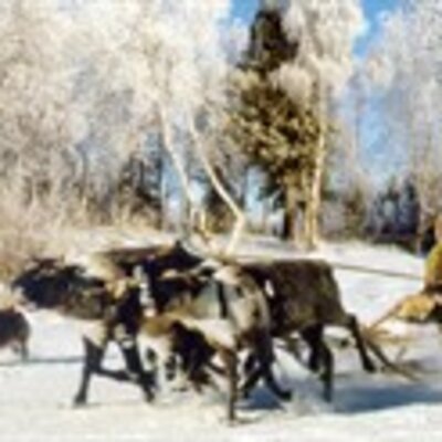 Мельник Сергей Леонидович