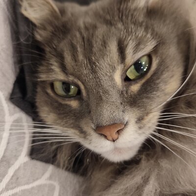 Герасименко Надежда Юрьевна