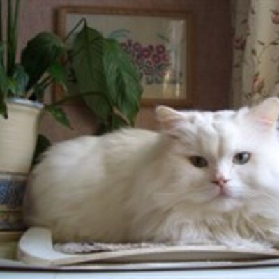 Головашкина Мария Федоровна