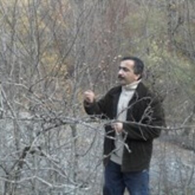 Гусейнов Азер Афганович