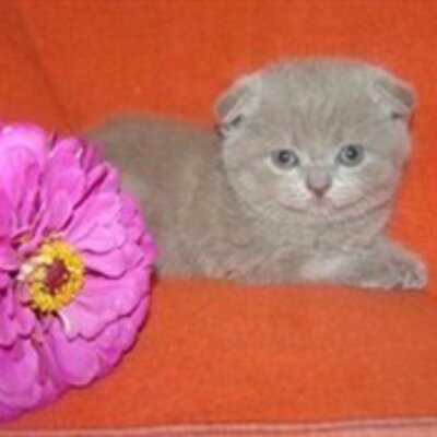 Сыпченко Антонина Яковлевна