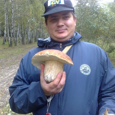 Карпенко Дмитрий Юрьевич