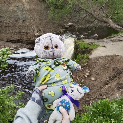 Володина Мария Игоревна