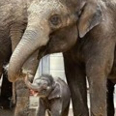 Кондратьева Светлана Борисовна