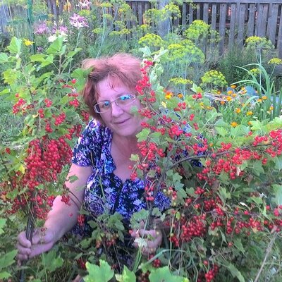 Елисеева Светлана Николаевна