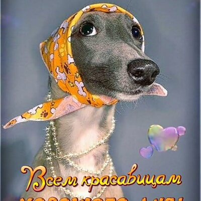 Ван Кяо-Цзюн