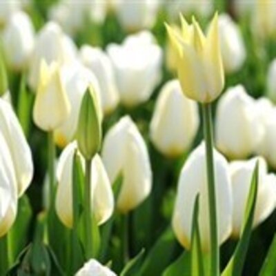 Приходько Наталья Михайловна