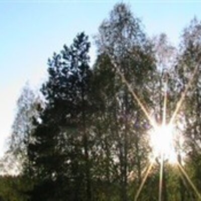 Кузьмичева Светлана Анатольевна
