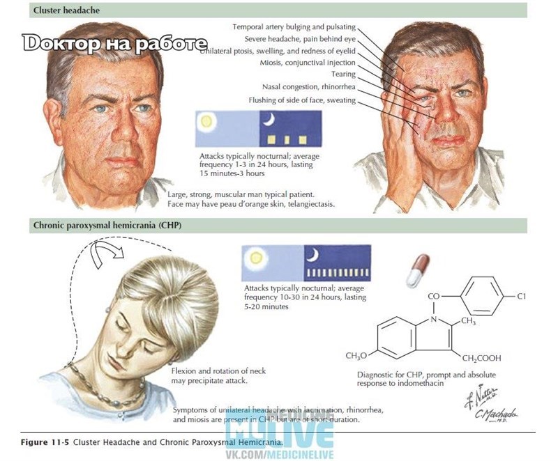 Генетическая предрасположенность