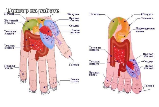 Точечный массаж кистей рук схема