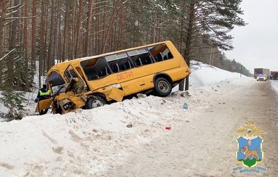 автобус место с м. автобус higer 35. ивеко неман автобус. ютонг 49 мест. тс "м3" паз.
